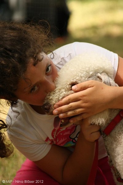 2012-07-01 B & B - Bedlington & Bichon Fun Day (319)_1000x1500.jpg
